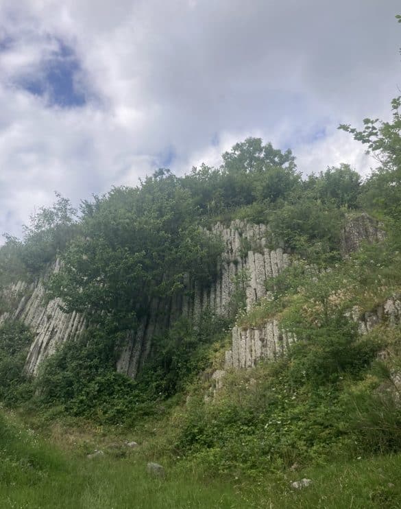 Photo des orgues de Montrodeix